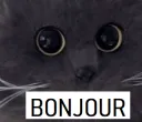 bonjour