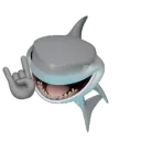 rock n shark
