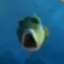 Suprised Fish