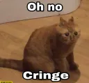 cringe cat