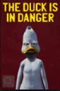 rhe duck is in danger