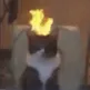 toasty