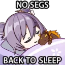 NoSeggOnlySleep