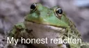 honestfroggee
