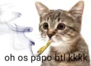 gato oh os papo btl kkkk