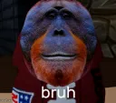 bruh