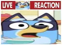 Live Bluey Reaction