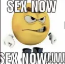 SEX NOW
