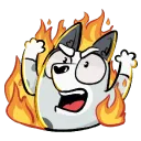 Muffin queen of chaos