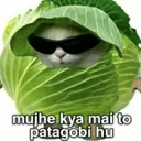 mai_toh_pattagobi_hu