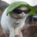 fps_mujhekyamaitopatagobihu