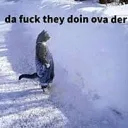 PASTEL BBYS 18+ DFTDOD !