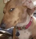 side eye