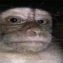 juzo
