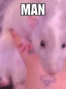 man_rat