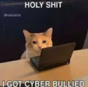 EH_CyberBully