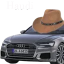 Haudi