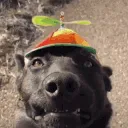 spinner