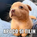 si tilin