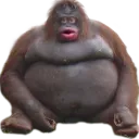monke