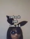 zont zo it