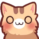Cat OwO