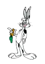 Whats up doc