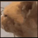 nuh.. nuh uh