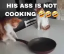 not cooking