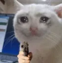 crying cat with gun