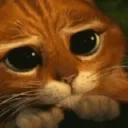 gato reclanmando