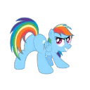Dashie tease