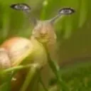 this slug is terrifying