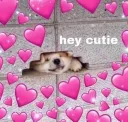 :hey cutie: