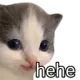 hehe