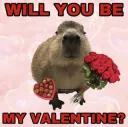 Will you be my valentine? 