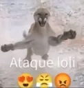 ataqueloli