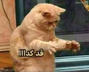 قد كدااا