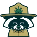 BB_CampCannabisRaccoonRanger
