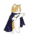 cat wizard