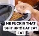 He fuckin that shit up eat cat