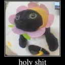 Holy shit flower cat