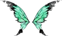 Sea Green Butterfly