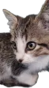 I see you