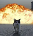 Kitty explosion