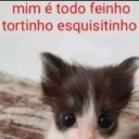 tortinho