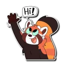 red panda hi