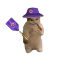 rbxcat