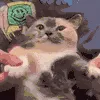 meow dance