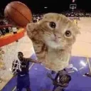 cat ballin